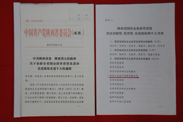 2009年2月，，被陕西省委、、、省政府授予陕西省国有企业刷新攻坚先进整体