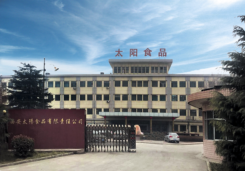 西安太阳食物有限责任俄罗斯专享会简介